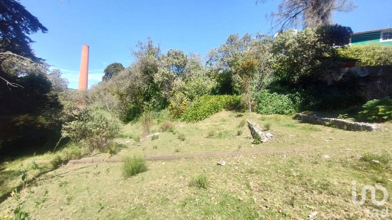 Terreno en Venta en San Ramón, Mineral del Monte, Hidalgo | NEX-285905 | iad México | Foto 7 de 10