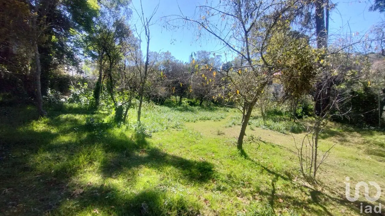 Terreno en Venta en San Ramón, Mineral del Monte, Hidalgo | NEX-285905 | iad México | Foto 8 de 10