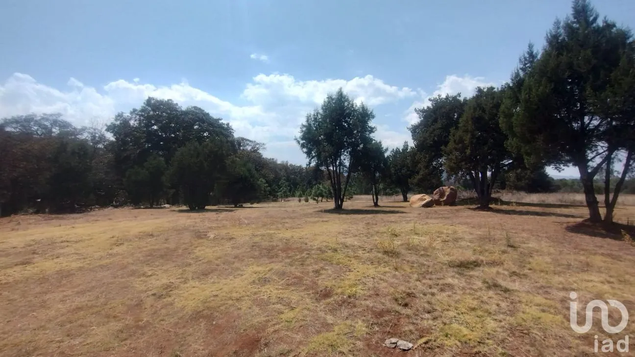 Terreno en Venta en San José Ocotillos, Huasca de Ocampo, Hidalgo | NEX-291276 | iad México | Foto 2 de 11