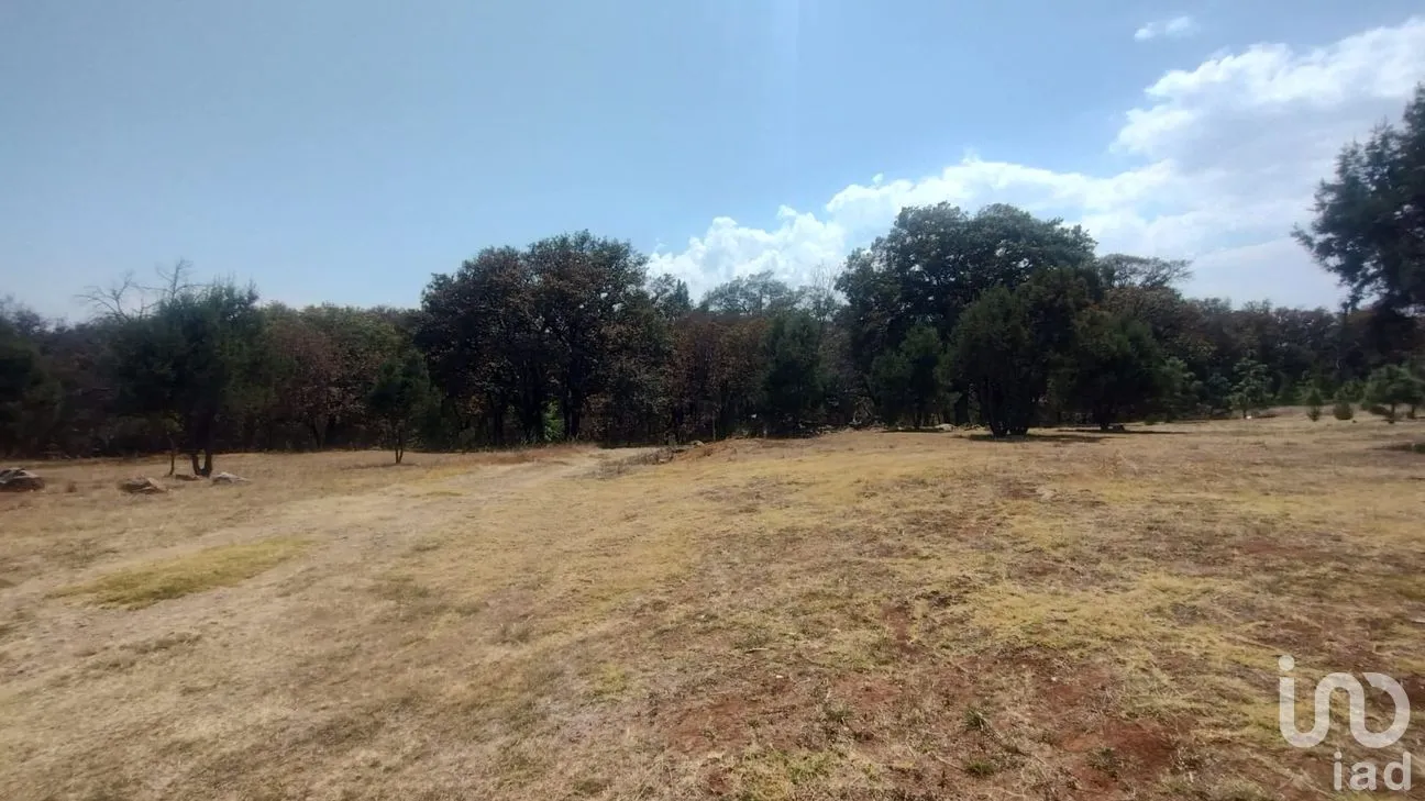 Terreno en Venta en San José Ocotillos, Huasca de Ocampo, Hidalgo | NEX-291276 | iad México | Foto 3 de 11