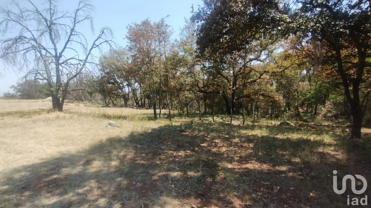 Terreno en Venta en San José Ocotillos, Huasca de Ocampo, Hidalgo | NEX-291276 | iad México | Foto 4 de 11