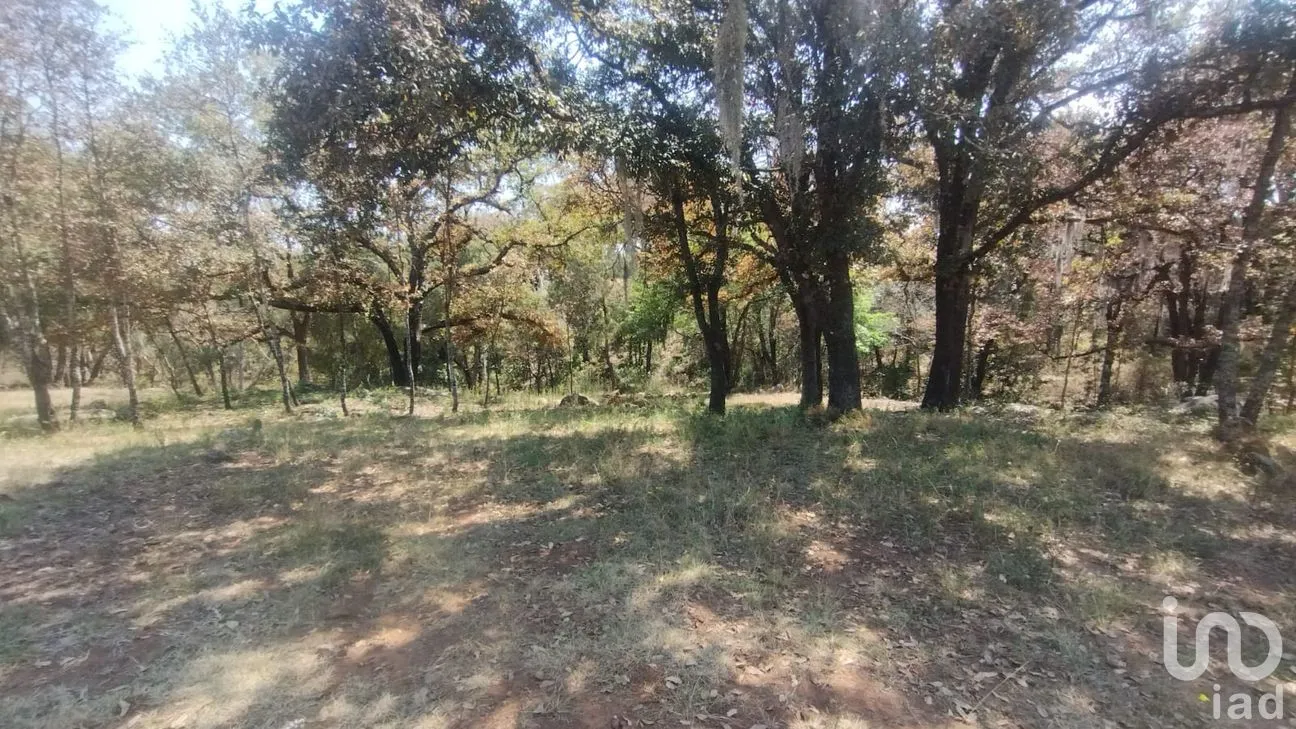 Terreno en Venta en San José Ocotillos, Huasca de Ocampo, Hidalgo | NEX-291276 | iad México | Foto 5 de 11