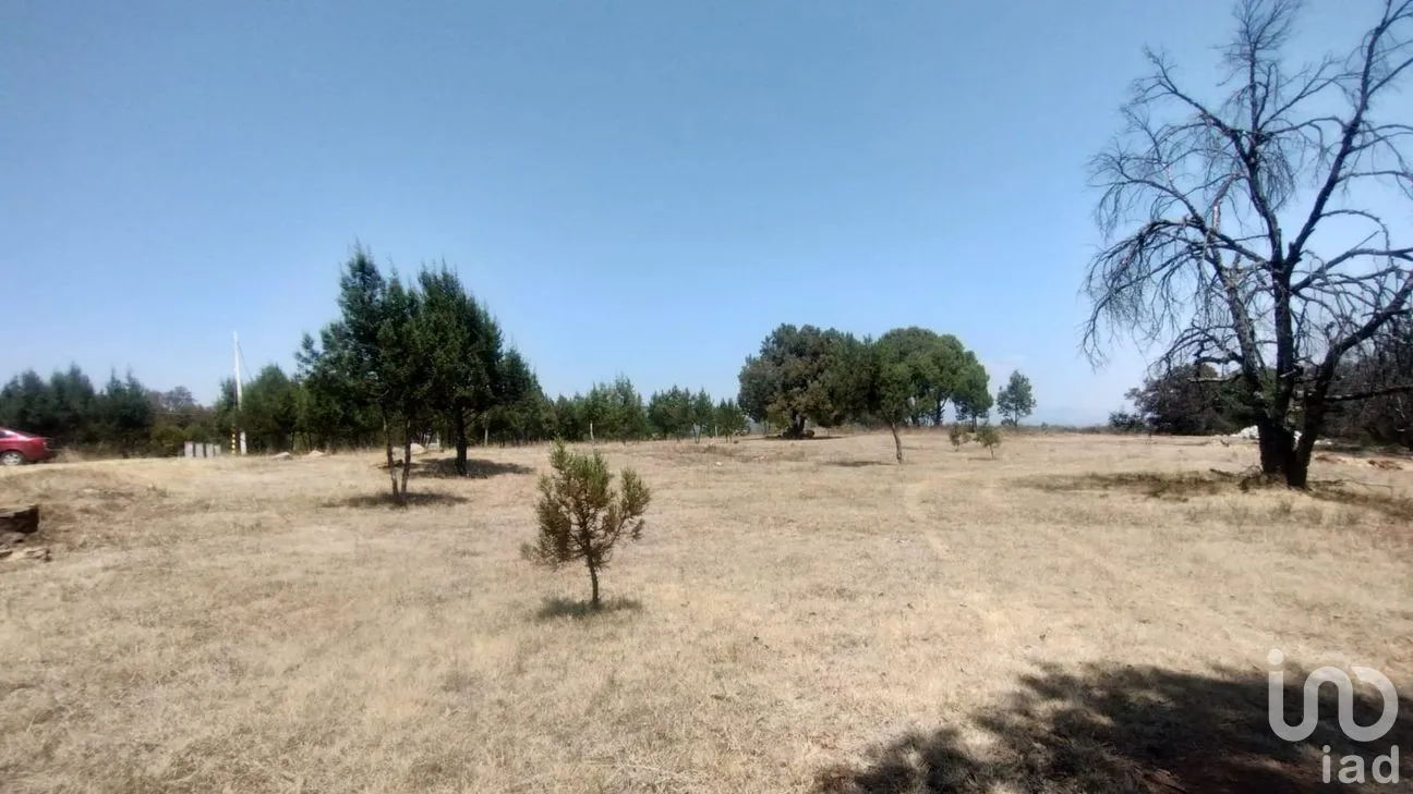 Terreno en Venta en San José Ocotillos, Huasca de Ocampo, Hidalgo | NEX-291276 | iad México | Foto 6 de 11