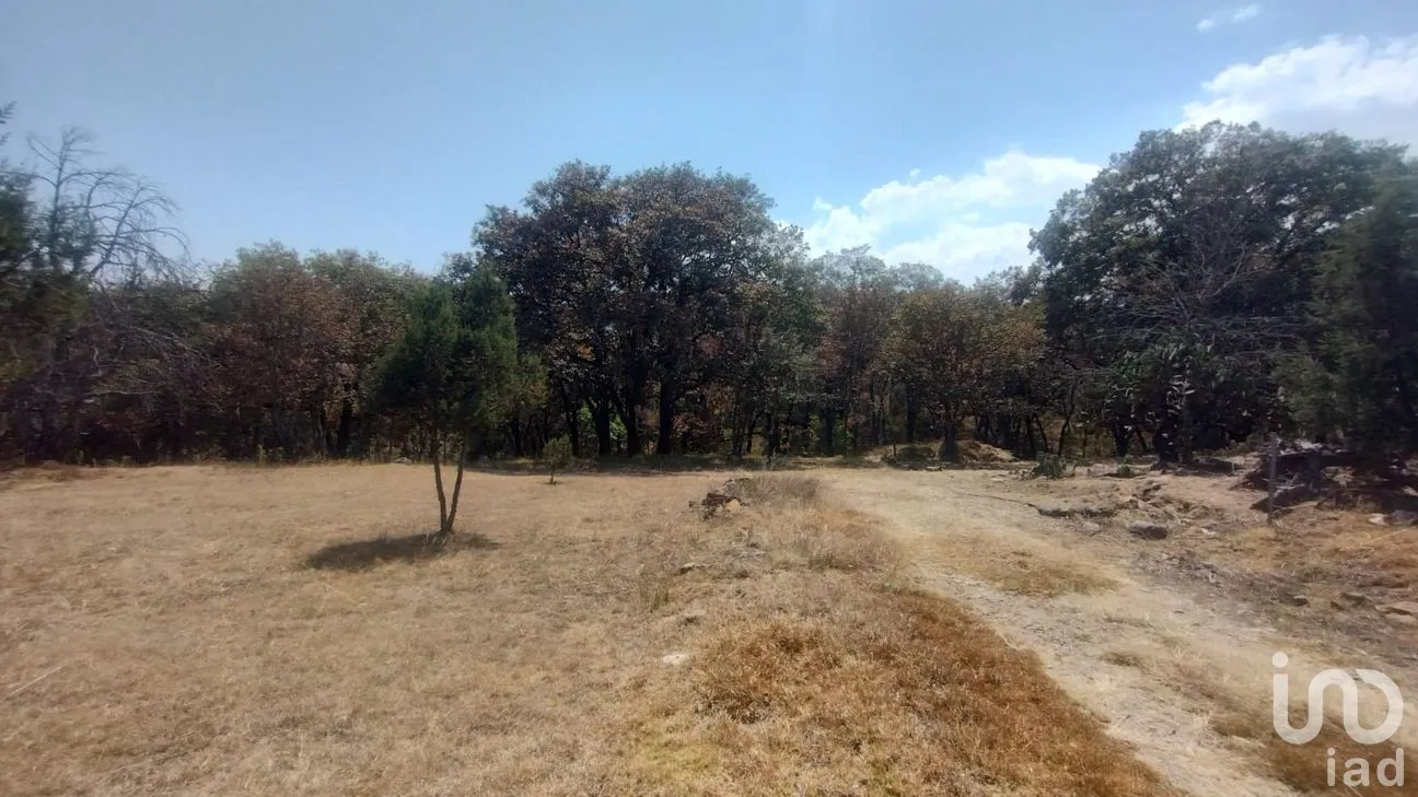 Terreno en Venta en San José Ocotillos, Huasca de Ocampo, Hidalgo | NEX-291276 | iad México | Foto 7 de 11