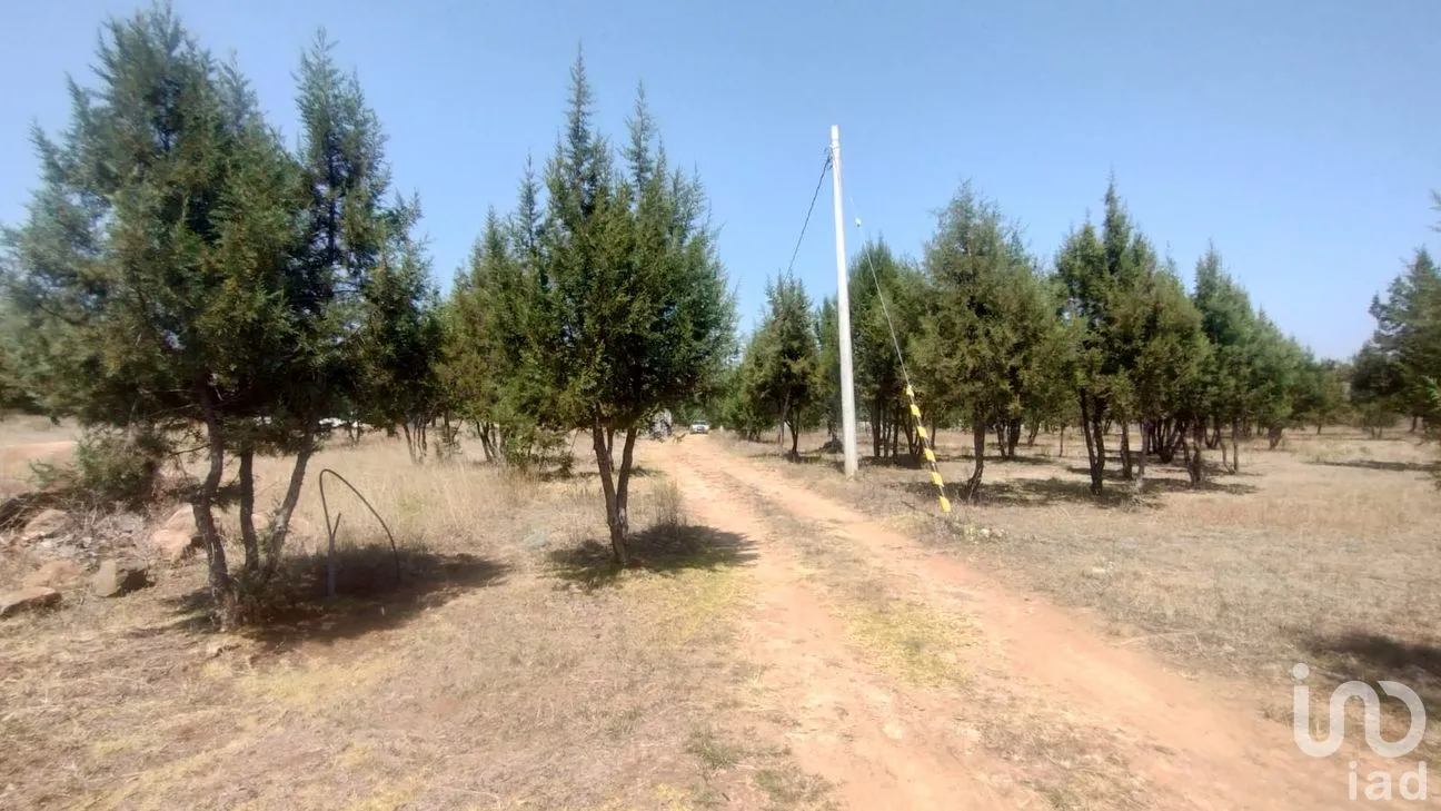 Terreno en Venta en San José Ocotillos, Huasca de Ocampo, Hidalgo | NEX-291276 | iad México | Foto 8 de 11