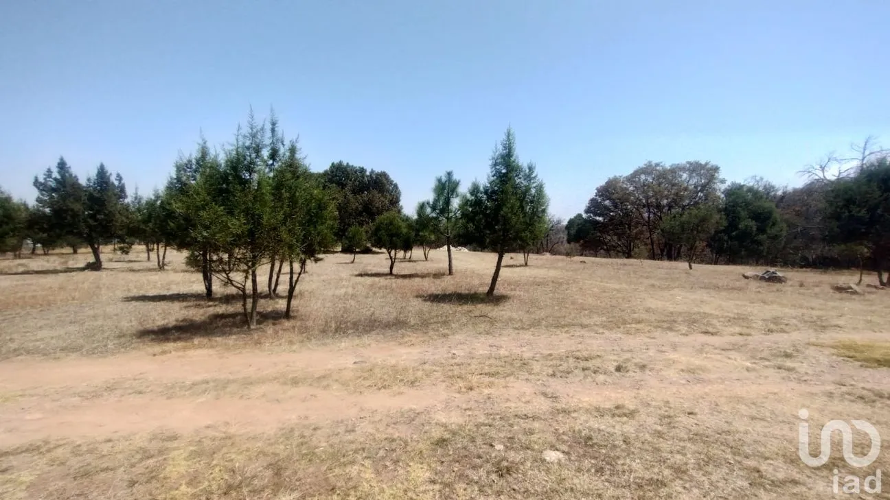 Terreno en Venta en San José Ocotillos, Huasca de Ocampo, Hidalgo | NEX-291276 | iad México | Foto 1 de 11
