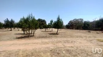 NEX-291276 - Terreno en Venta en San José Ocotillos, CP 43500, Hidalgo.