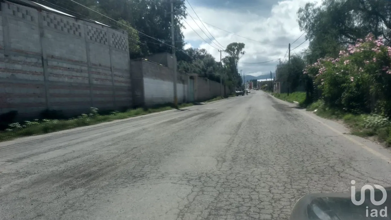 Terreno en Venta en Benito Juárez, Actopan, Hidalgo | NEX-51811 | iad México | Foto 6 de 6