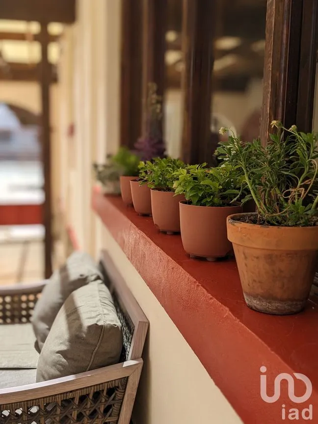 Hotel en Venta en Partido Romero, Juárez, Chihuahua | NEX-170785 | iad México | Foto 9 de 29