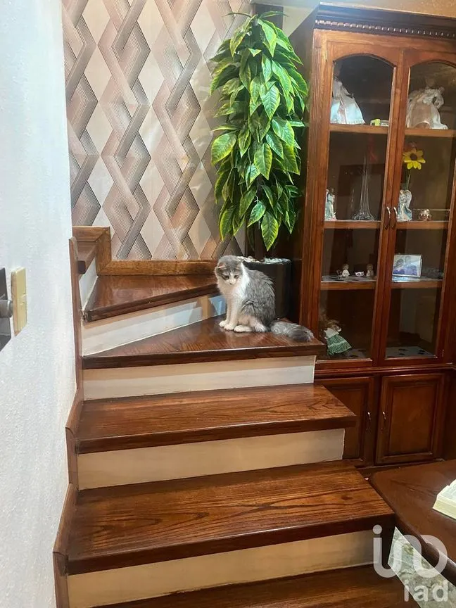 Casa en Venta en Complejo R, Juárez, Chihuahua | NEX-251626 | iad México | Foto 6 de 13