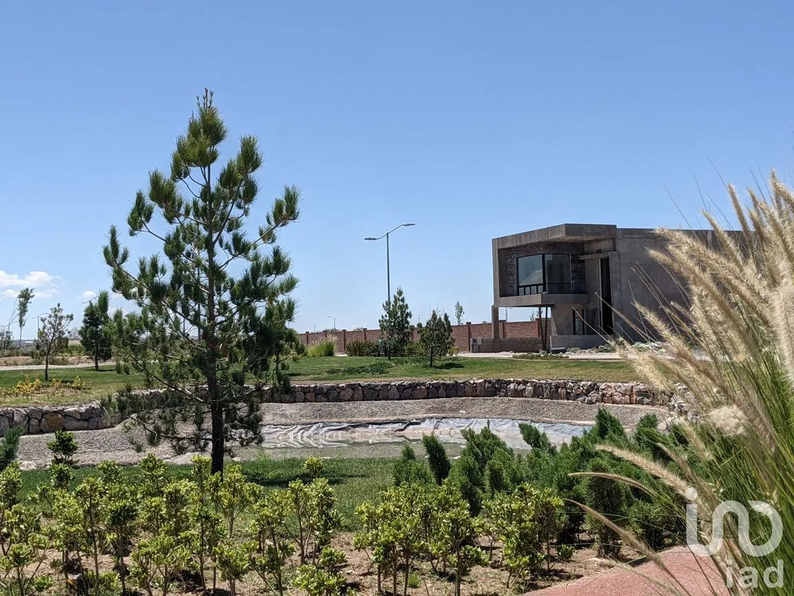 Terreno en Venta en Zaragoza, Juárez, Chihuahua