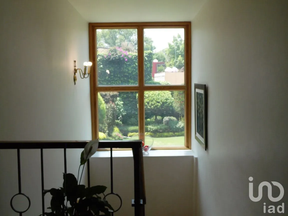 Casa en Venta en Santa Catarina, Coyoacán, Ciudad de México | NEX-167704 | iad México | Foto 38 de 45