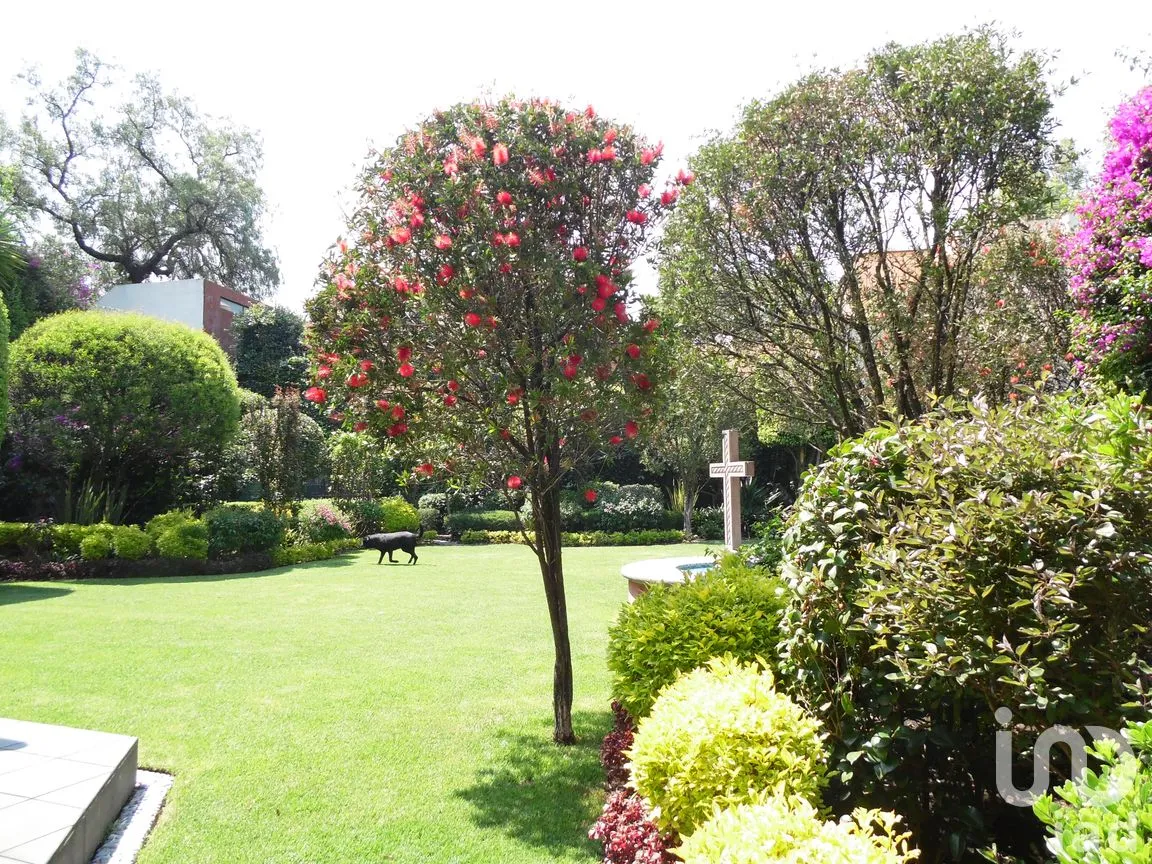Casa en Venta en Santa Catarina, Coyoacán, Ciudad de México | NEX-167704 | iad México | Foto 8 de 45