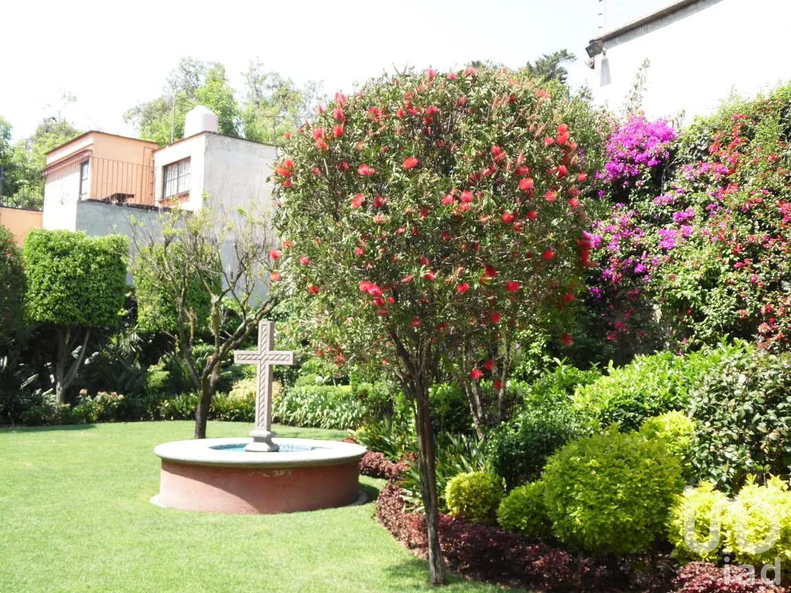 Casa en Venta en Santa Catarina, Coyoacán, Ciudad de México | NEX-167704 | iad México | Foto 9 de 45