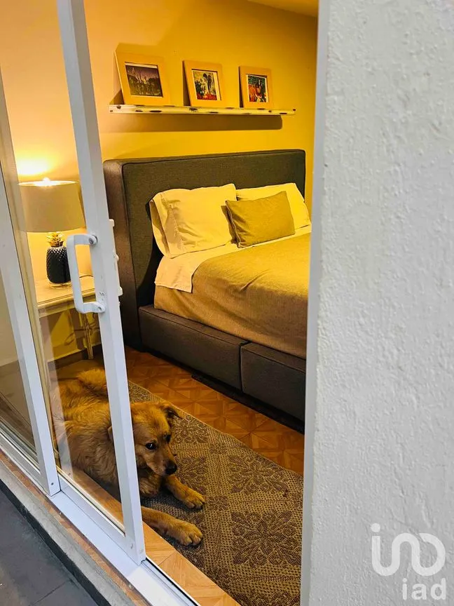 Casa en Venta en Periodista, Benito Juárez, Ciudad de México | NEX-242557 | iad México | Foto 13 de 25