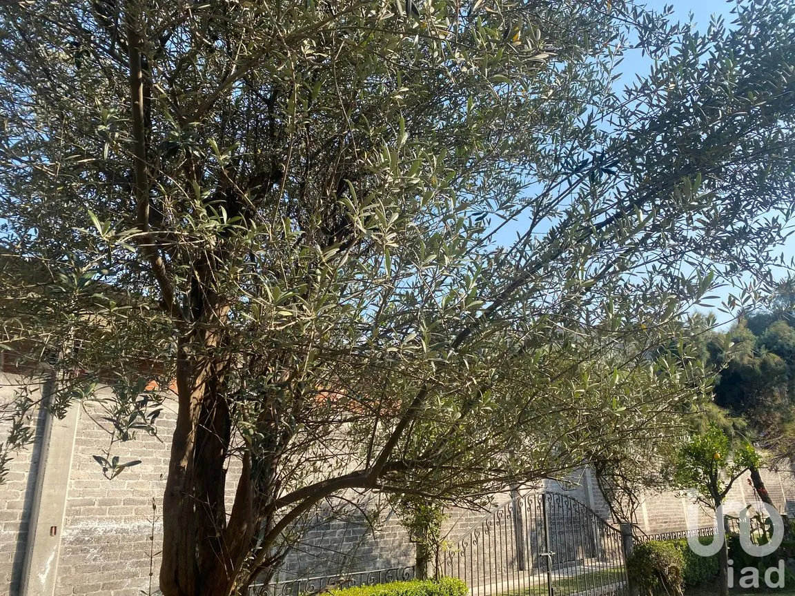 Casa en Renta en Rancho Tejomulco, Xochimilco, Ciudad de México | NEX-293707 | iad México | Foto 8 de 13