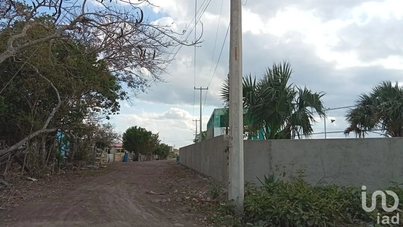 Terreno en Venta en Río Lagartos, Río Lagartos, Yucatán | NEX-193854 | iad México | Foto 2 de 15