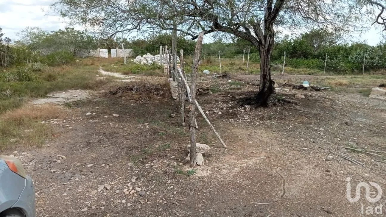 Terreno en Venta en Río Lagartos, Río Lagartos, Yucatán | NEX-193854 | iad México | Foto 12 de 15