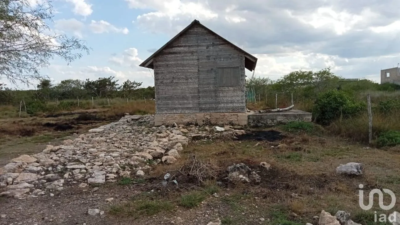 Terreno en Venta en Río Lagartos, Río Lagartos, Yucatán | NEX-193854 | iad México | Foto 13 de 15