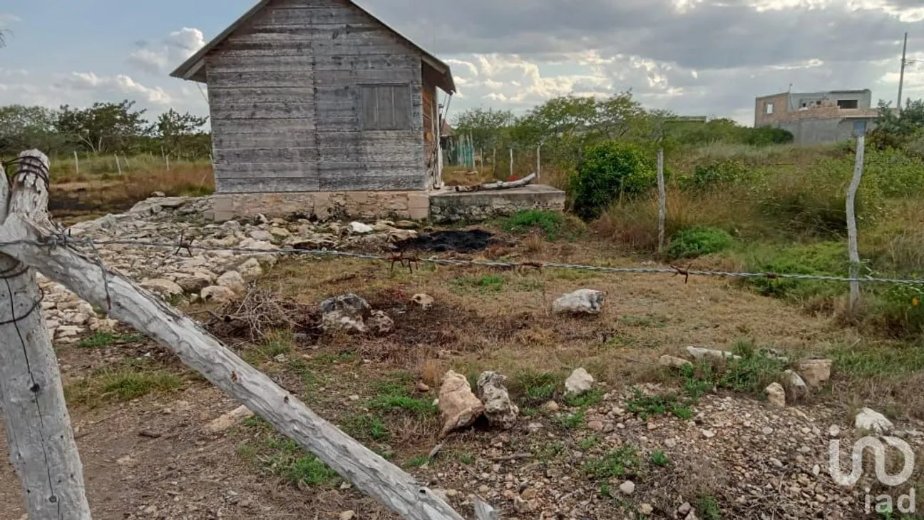 Terreno en Venta en Río Lagartos, Río Lagartos, Yucatán | NEX-193854 | iad México | Foto 14 de 15