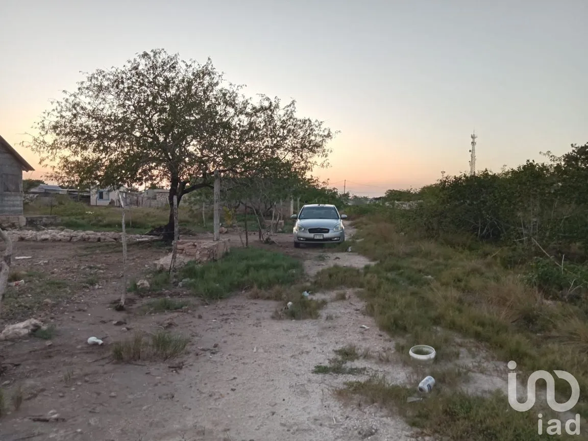 Terreno en Venta en Río Lagartos, Río Lagartos, Yucatán | NEX-193854 | iad México | Foto 4 de 15