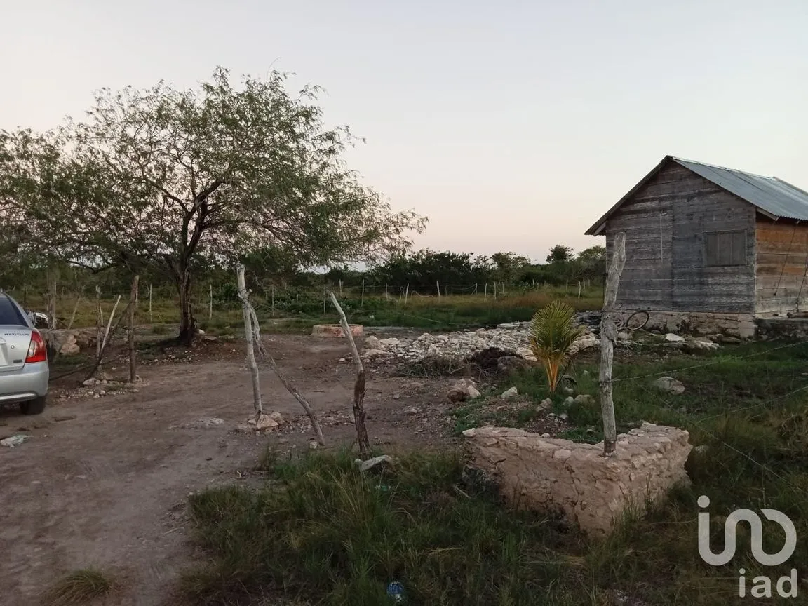 Terreno en Venta en Río Lagartos, Río Lagartos, Yucatán | NEX-193854 | iad México | Foto 5 de 15