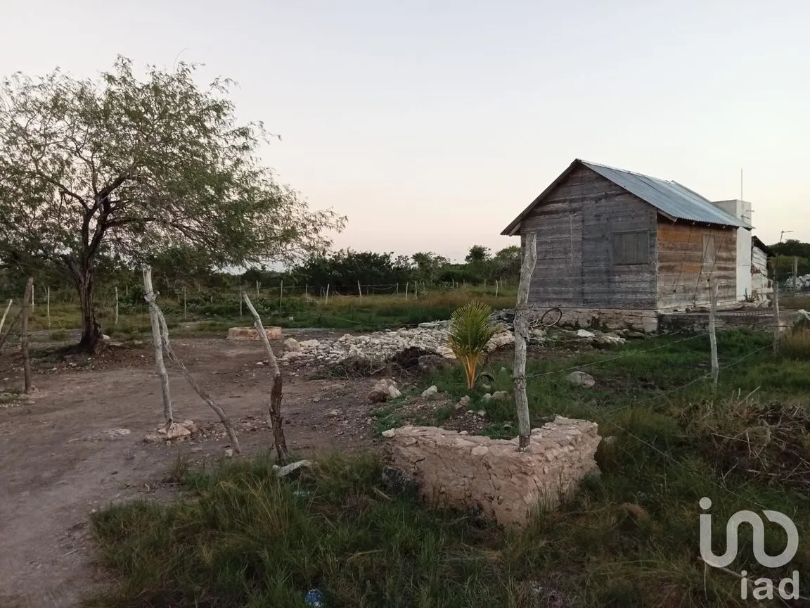 Terreno en Venta en Río Lagartos, Río Lagartos, Yucatán | NEX-193854 | iad México | Foto 6 de 15