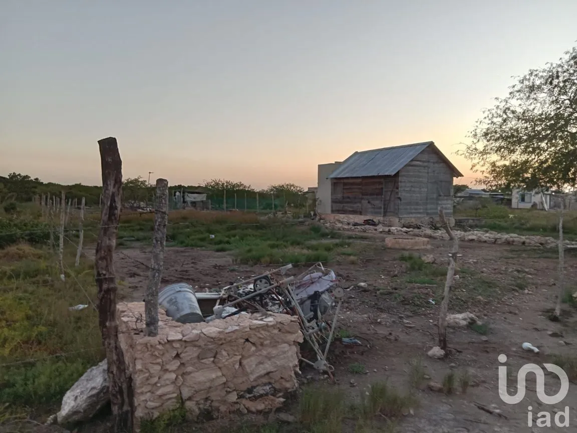 Terreno en Venta en Río Lagartos, Río Lagartos, Yucatán | NEX-193854 | iad México | Foto 1 de 15