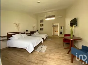 NEX-221569 - Departamento en Renta, con 1 recamara, con 1 baño, con 60 m2 de construcción en Benito Juárez Nte, CP 97119, Yucatán.