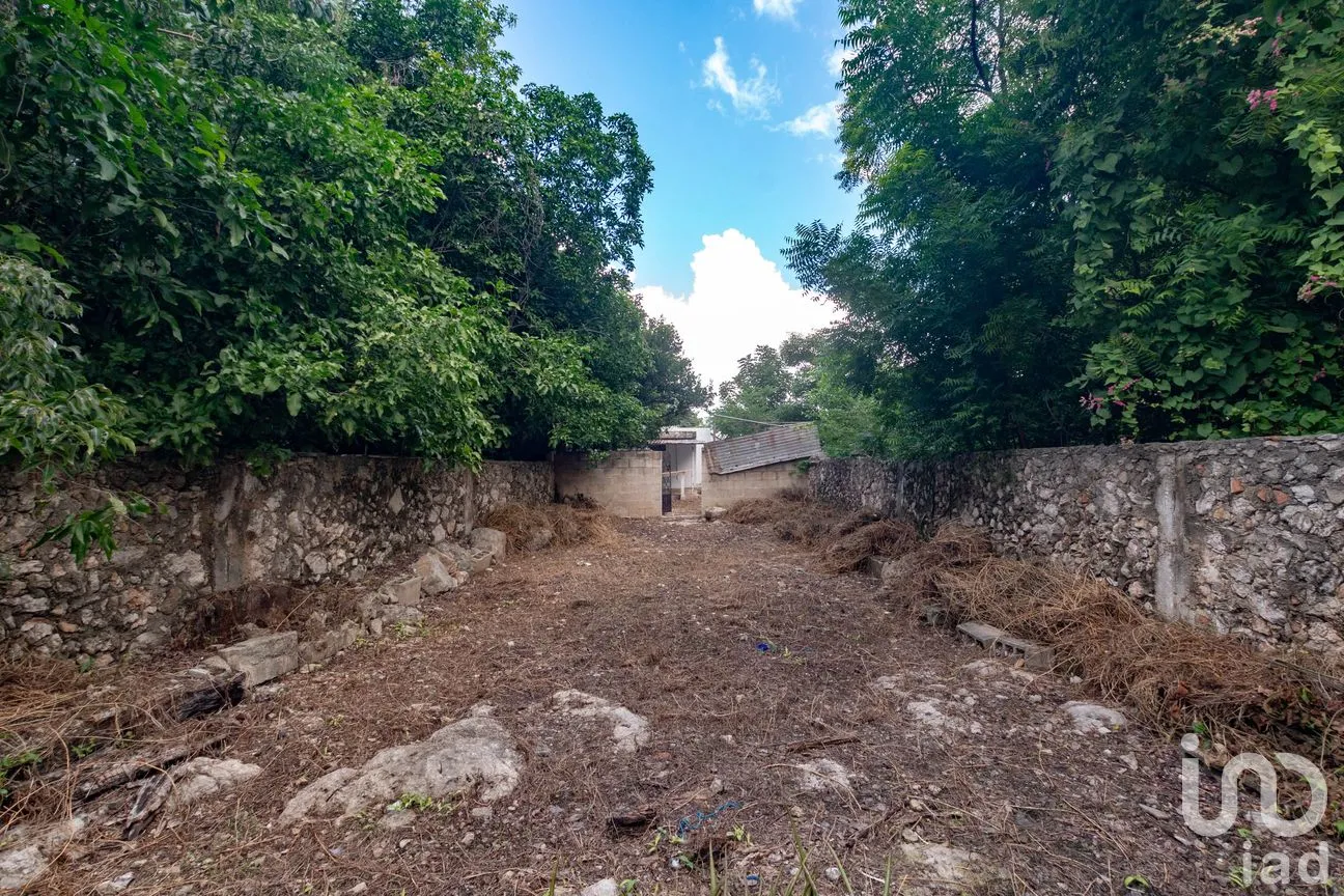 Casa en Venta en Mérida Centro, Mérida, Yucatán | NEX-223161 | iad México | Foto 21 de 26