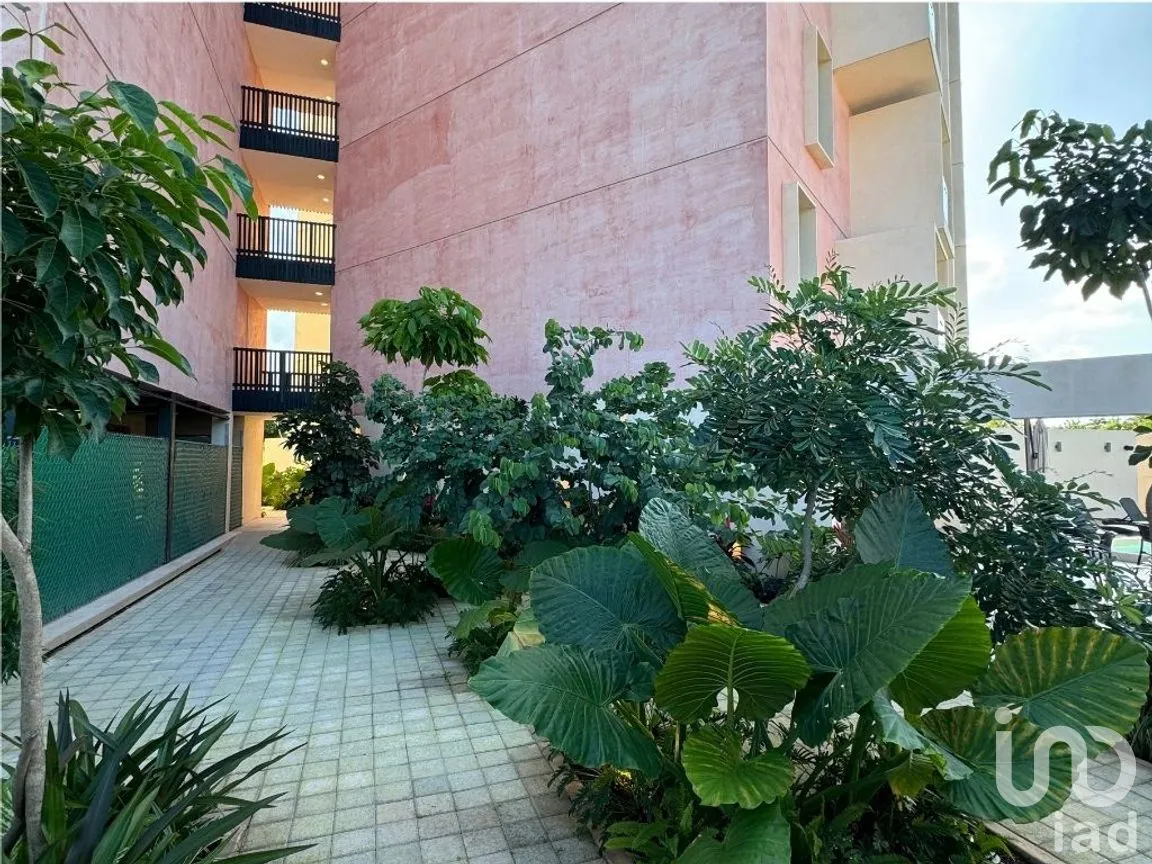 Departamento en Venta en Santa Gertrudis Copo, Mérida, Yucatán | NEX-243047 | iad México | Foto 7 de 32