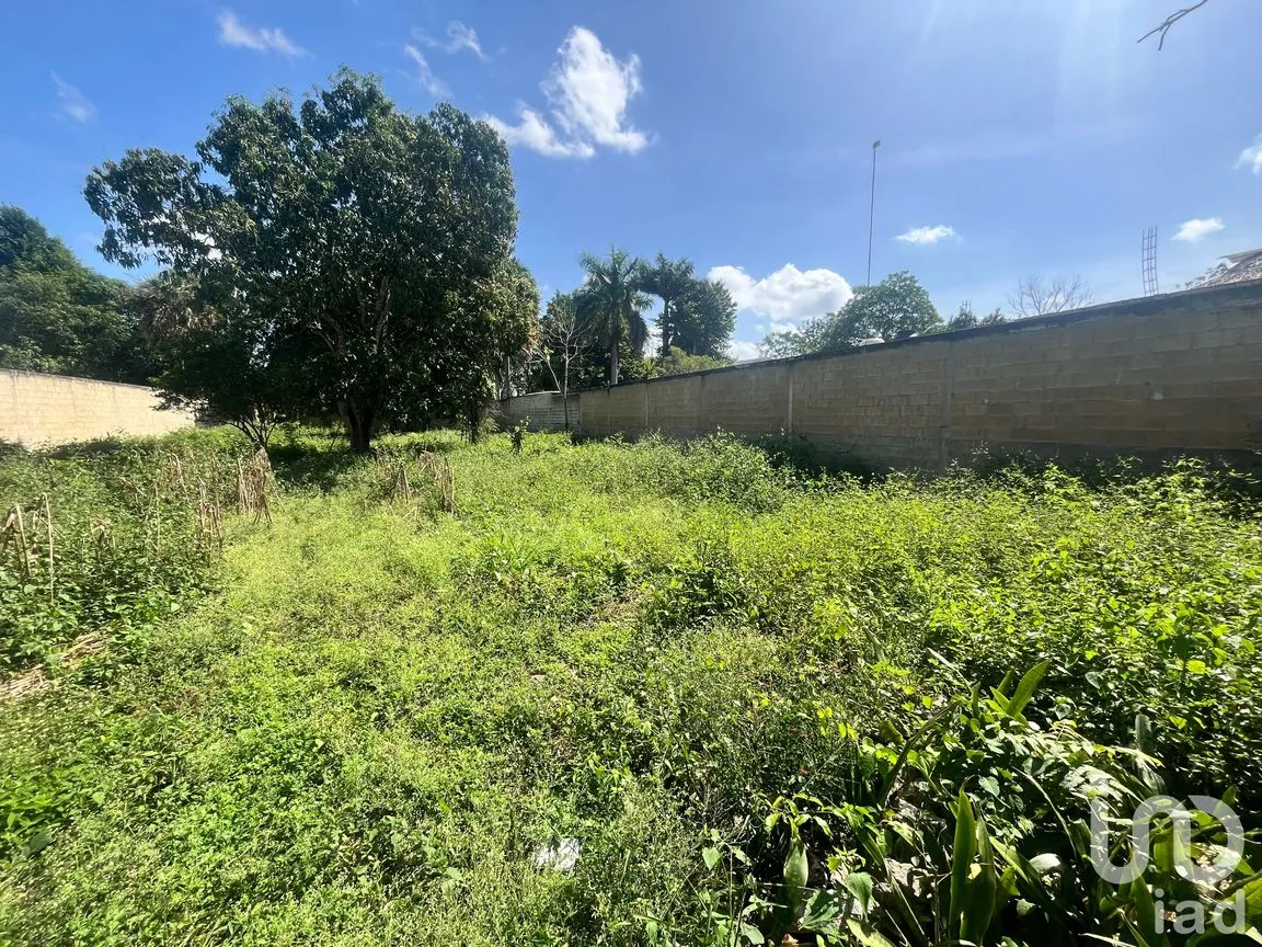 Terreno en Venta en San Francisco, Tekax, Yucatán | NEX-244266 | iad México | Foto 4 de 8