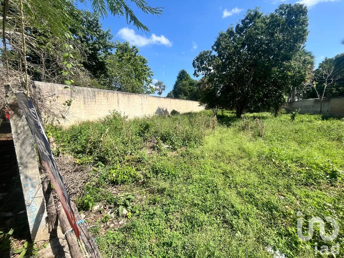 Terreno en Venta en San Francisco, Tekax, Yucatán | NEX-244266 | iad México | Foto 5 de 8