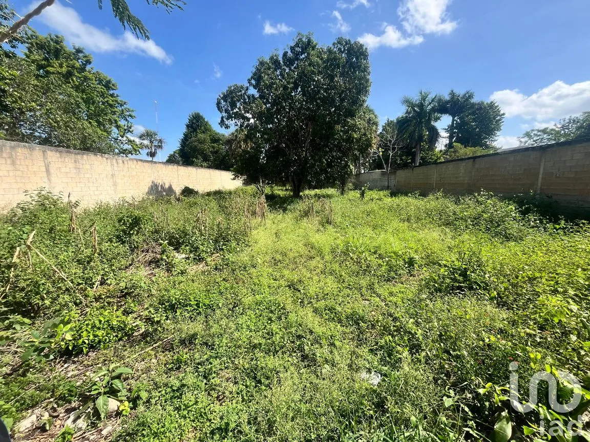 Terreno en Venta en San Francisco, Tekax, Yucatán | NEX-244266 | iad México | Foto 6 de 8