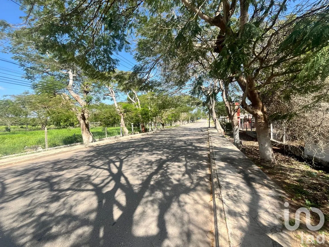 Terreno en Venta en San Francisco, Tekax, Yucatán | NEX-244266 | iad México | Foto 7 de 8