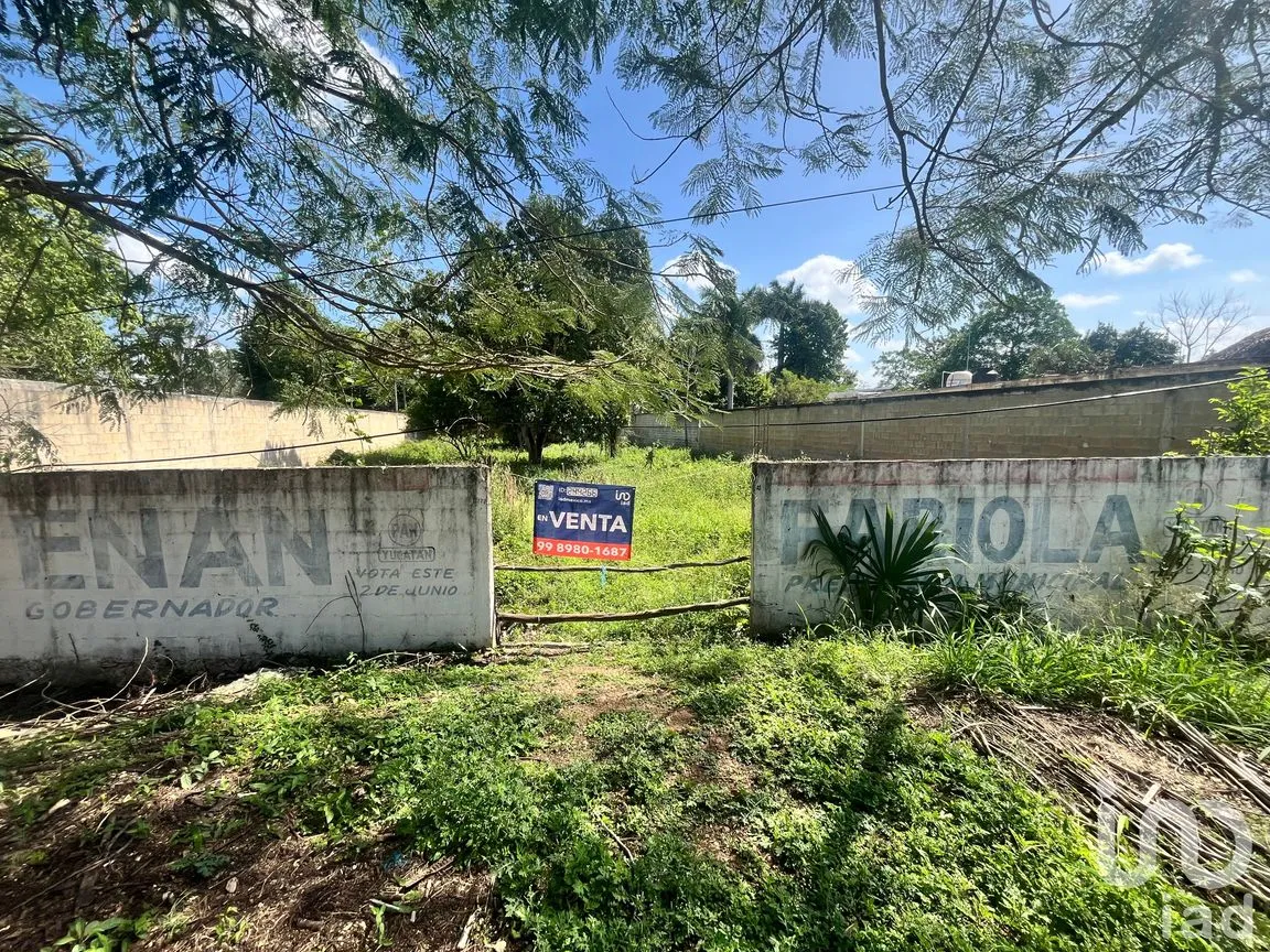 Terreno en Venta en San Francisco, Tekax, Yucatán | NEX-244266 | iad México | Foto 1 de 8