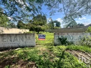 NEX-244266 - Terreno en Venta en San Francisco, CP 97970, Yucatán.