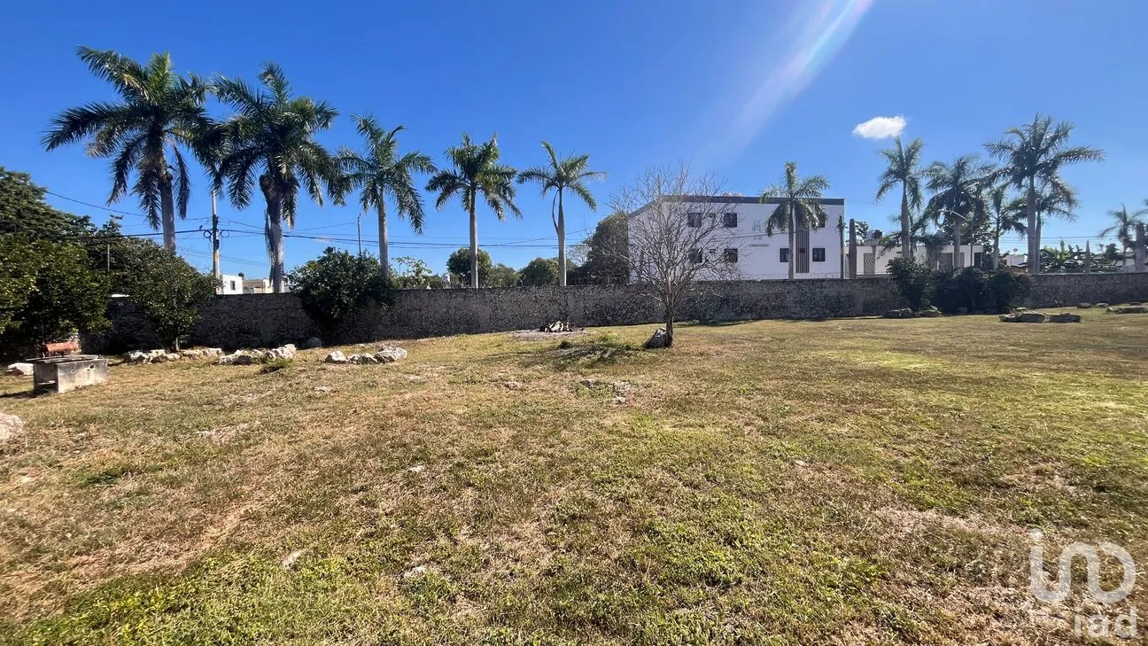 Terreno en Venta en Leandro Valle, Mérida, Yucatán | NEX-283803 | iad México | Foto 8 de 10