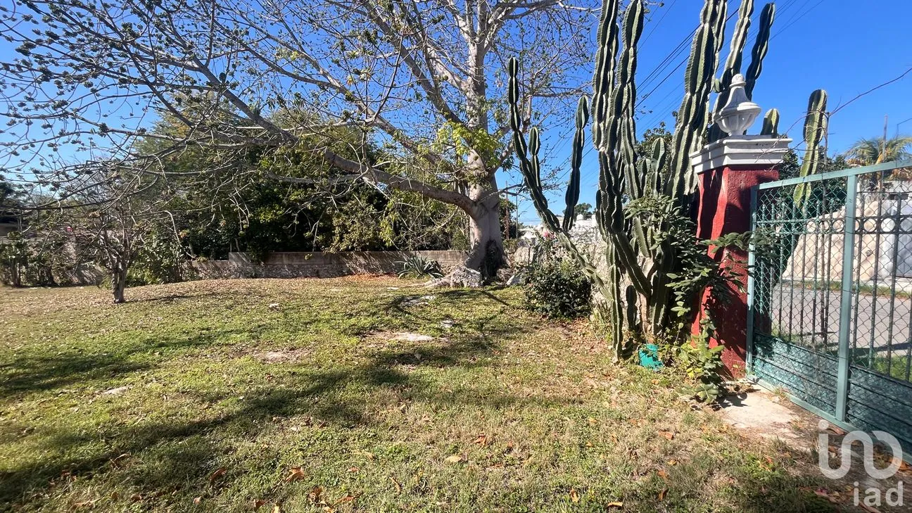 Terreno en Venta en Leandro Valle, Mérida, Yucatán | NEX-283803 | iad México | Foto 10 de 10