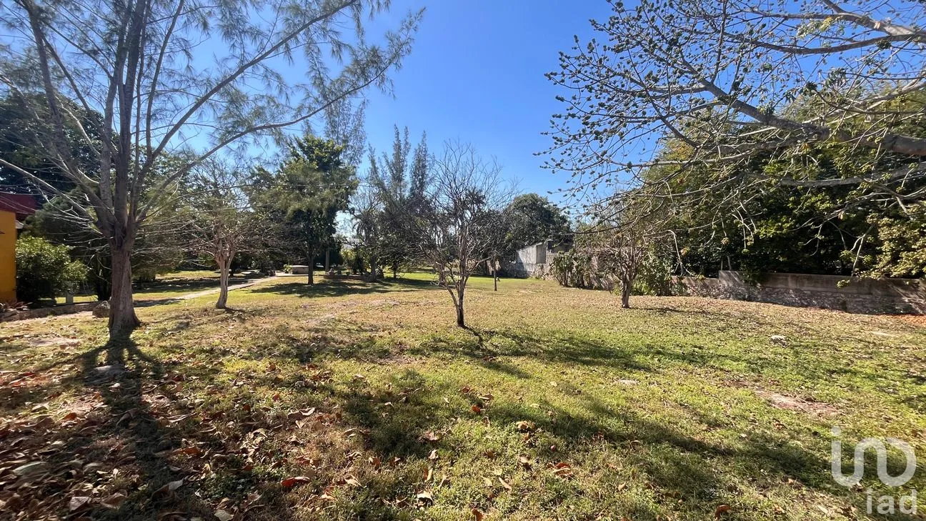 Terreno en Venta en Leandro Valle, Mérida, Yucatán | NEX-283804 | iad México | Foto 2 de 12