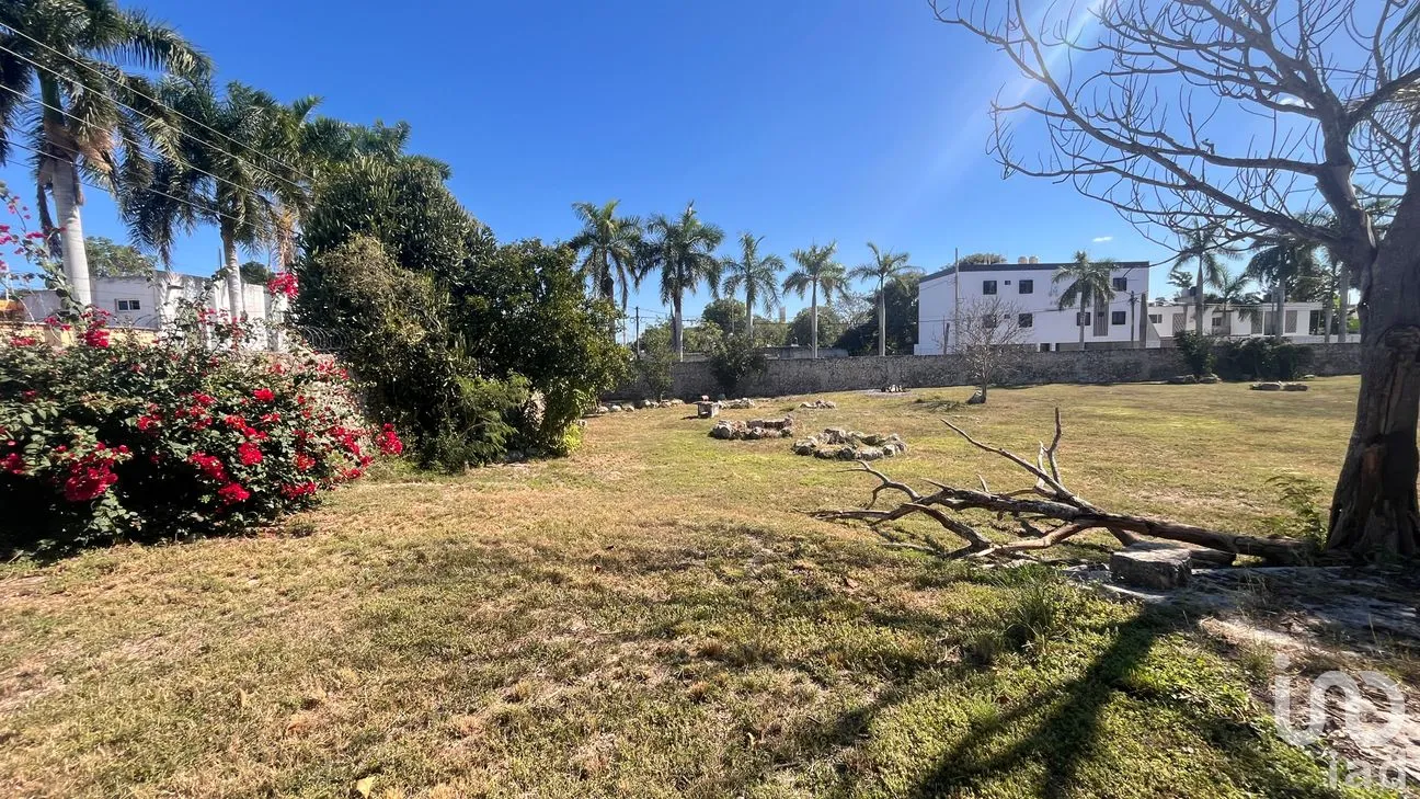 Terreno en Venta en Leandro Valle, Mérida, Yucatán | NEX-283804 | iad México | Foto 3 de 12