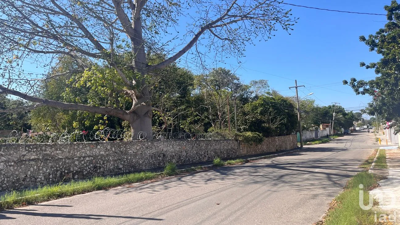 Terreno en Venta en Leandro Valle, Mérida, Yucatán | NEX-283804 | iad México | Foto 9 de 12