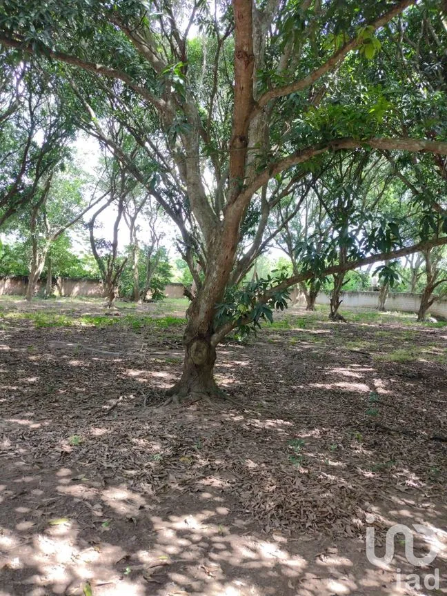 Terreno en Venta en Ixcoalco, Medellín de Bravo, Veracruz de Ignacio de la Llave | NEX-57147 | iad México | Foto 11 de 12