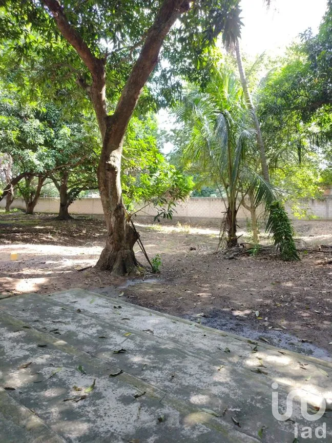 Terreno en Venta en Ixcoalco, Medellín de Bravo, Veracruz de Ignacio de la Llave | NEX-57147 | iad México | Foto 6 de 12