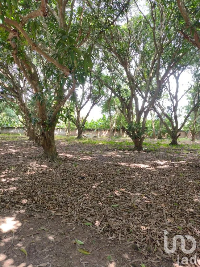 Terreno en Venta en Ixcoalco, Medellín de Bravo, Veracruz de Ignacio de la Llave | NEX-57147 | iad México | Foto 10 de 12