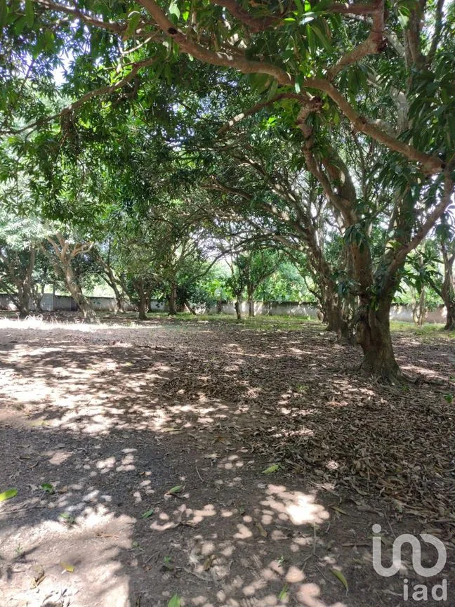 Terreno en Venta en Ixcoalco, Medellín de Bravo, Veracruz de Ignacio de la Llave | NEX-57147 | iad México | Foto 9 de 12