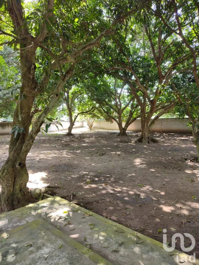 Terreno en Venta en Ixcoalco, Medellín de Bravo, Veracruz de Ignacio de la Llave | NEX-57147 | iad México | Foto 5 de 12