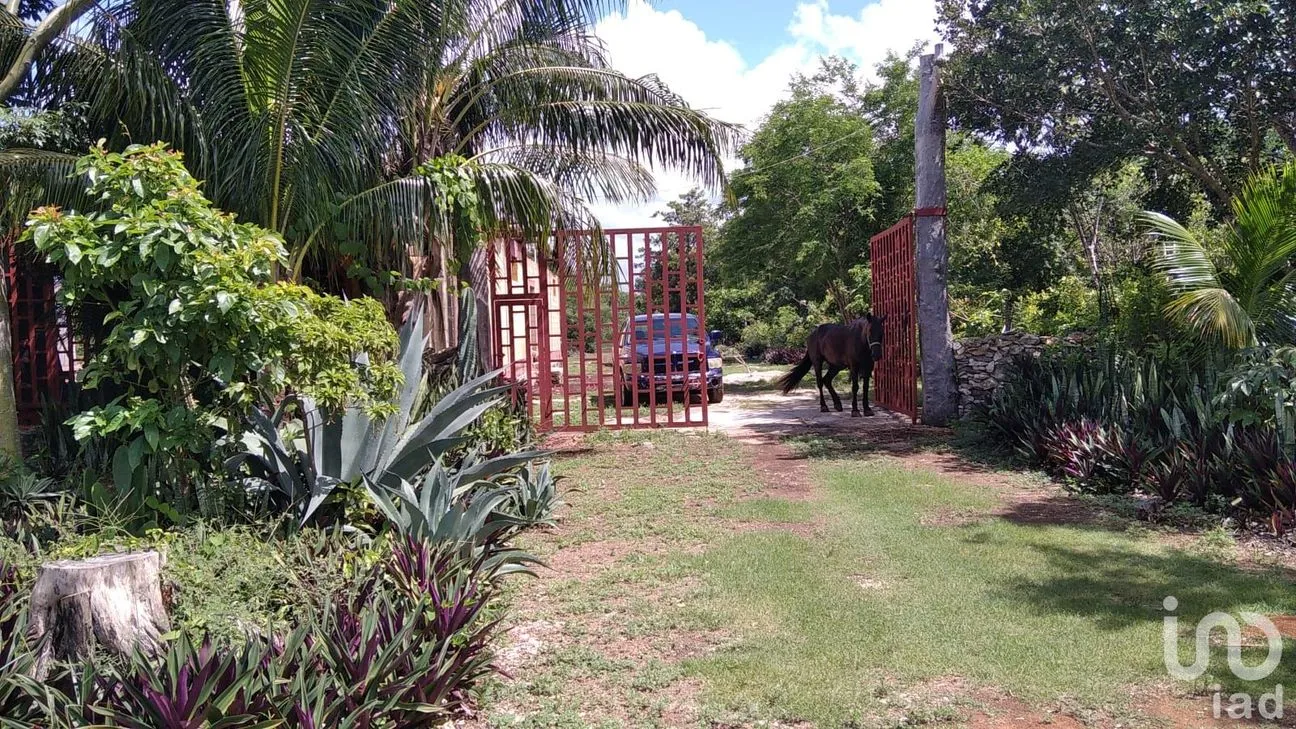 Rancho en Venta en Puerto Morelos, Puerto Morelos, Quintana Roo | NEX-51698 | iad México | Foto 14 de 15