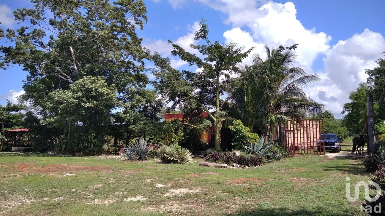 Rancho en Venta en Puerto Morelos, Puerto Morelos, Quintana Roo | NEX-51698 | iad México | Foto 15 de 15