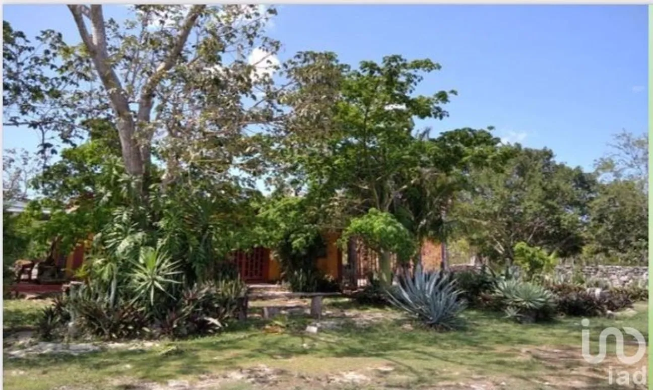 Rancho en Venta en Puerto Morelos, Puerto Morelos, Quintana Roo | NEX-51698 | iad México | Foto 11 de 15